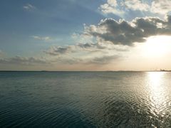 -碧海金沙