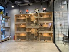 -熊小胖宠物生活馆(天华园店)