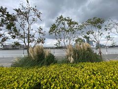 -上海山野camping·户外天幕烧烤·团建拓展营地