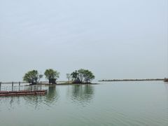 -苏州太湖国家湿地公园
