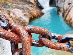 -广州白江湖森林公园