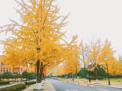 -西南民族大学南区(双流校区)