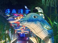 -广西壮族自治区药用植物园