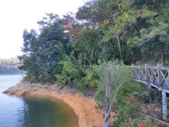 -广州市流溪河国家森林公园