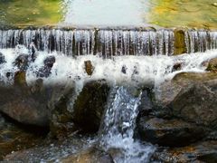 -广州白江湖森林公园