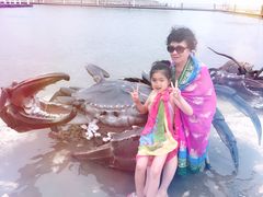 -秦皇岛乐岛海洋王国