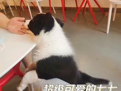 -72 COFFEE(东朝阳路店)