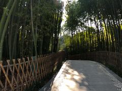 -宝鸡植物园
