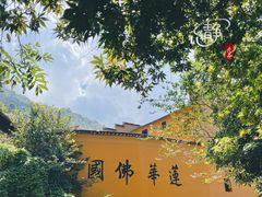 -九华山风景区