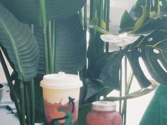 -SENTEA森茶(麦地丽日店)