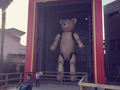 -济州岛泰迪熊博物馆