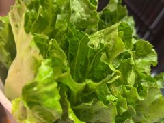 -潮发潮汕牛肉店(芳村店)