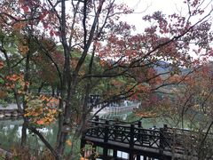 -白马涧龙池景区