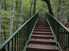 -宝岩生态观光园