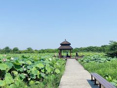 -梁鸿国家湿地公园