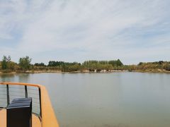 -东郊湿地公园