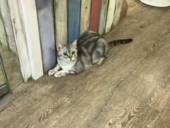 -小时光咖啡馆(开森度假森林店)