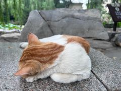 -八大处公园