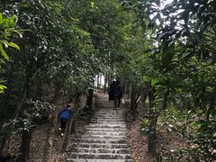 -广州市帽峰山景区