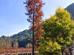 -广州市石门国家森林公园