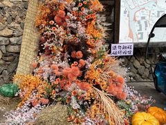 -林坑古村落