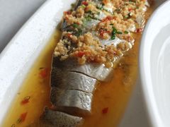 -绿杨春·淮扬宴(庐山路店)