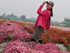 -中国天府农业博览园