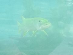 -龙达温泉生态城