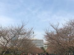 -同济大学四平路校区游泳馆