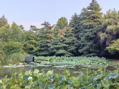 -洛阳市隋唐城遗址植物园