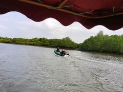 -东寨港红树林旅游区