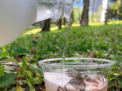 -喜茶(深圳福田星河COCO Park店)