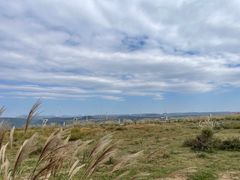-龙里油画大草原旅游区