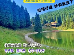 -武陵山森林公园
