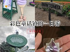 -富田农场