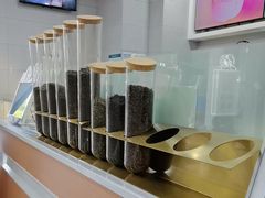 -雾与山茶(大禹城店)