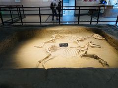 -洛阳周王城天子驾六博物馆