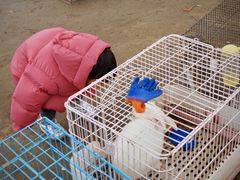 -前小桔亲子创意农场·草莓采摘·露营烧烤