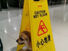 -黑白健身·私教·拳击·普拉提(体汇+红馆店)