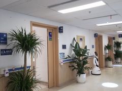 -上海市第四人民医院