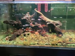 -青木造型HAIR·あおき髪を刈る潮人店