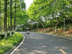 -宜兴龙背山森林公园