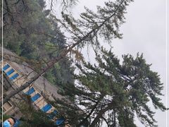 -延安杨家岭革命旧址