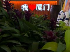 -厦门高崎国际机场-T4航站楼