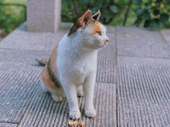 -八达岭长城