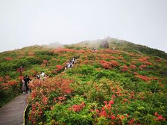 -大围山国家森林公园