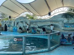 -泉州海丝野生动物世界