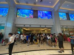 -海豚堡温泉水乐园