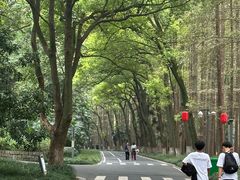 -采石矶景区