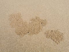 -龙凤头海滨浴场度假村-停车场